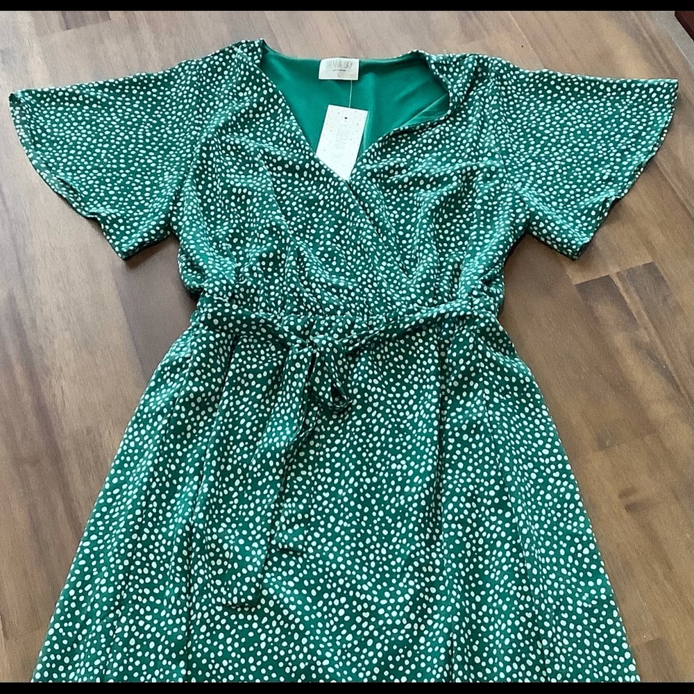Sienna Sky Green Polka Dot Tie Dress